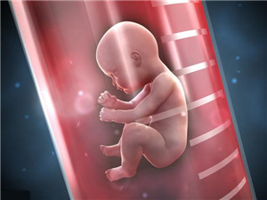 胚胎移植数量