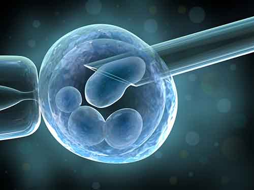 试管婴儿—胚胎移植后怎样更容易着床？