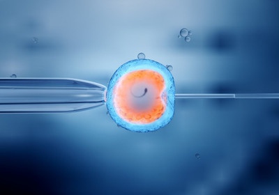 胚胎质量好是不是就能提高试管婴儿的成功率