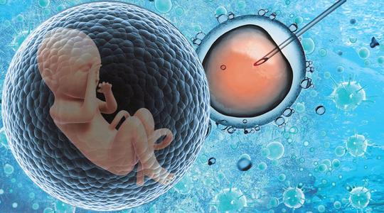 试管婴儿什么情况下适合冷冻胚胎？