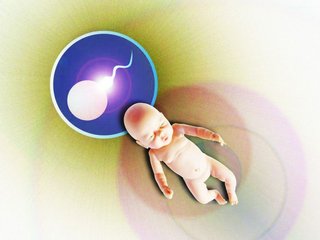 卵胞浆内单精子注射技术