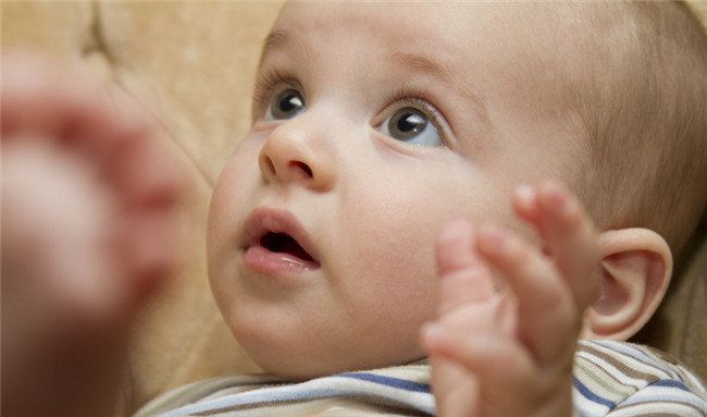 试管婴儿:输卵管堵塞是做手术还是试管婴儿助孕?