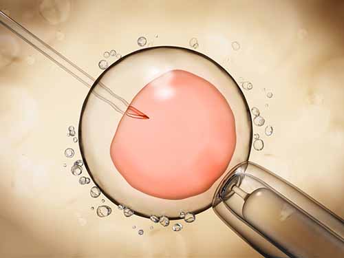 胚胎移植后的一些常见症状盘点，这些方法能教你轻松应对！