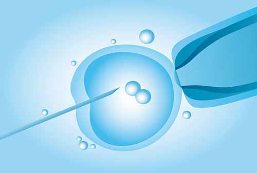 取卵后多久可以进行胚胎移植？深圳试管婴儿医院哪家好？